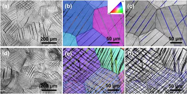 想更深刻的理解不斷問鼎金屬頂刊且熱度不減的TWIP效應(yīng)？
